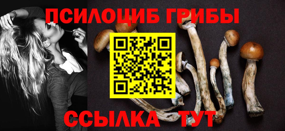 даркнет сайт  Галлюциногенные грибы Magic Shrooms  Вход с VPN  Феодосия 