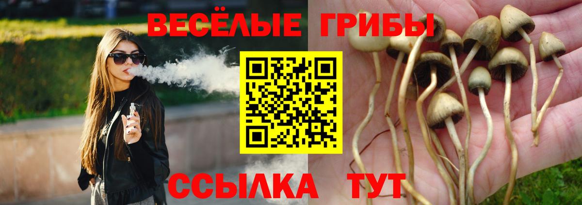 Псилоцибиновые грибы Cubensis Феодосия